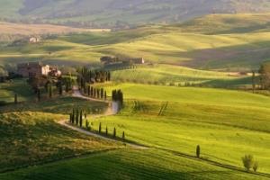 历届世界杯举办国，足球运动的全球盛事历届世界杯举办国